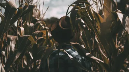 Cum se poate face agricultură pe doar 2,5 ha de pământ?