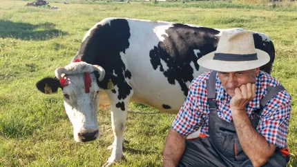 Fermierii români sunt disperați! Își duc vacile gestante la abator pentru că nu mai au bani să le țină!