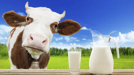 Ministerul Agriculturii înființează „Observatorul laptelui”! Toate produsele lactate vor fi monitorizate. Chiar și etichetele vor suferi modificări