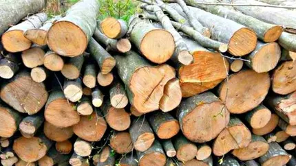 Plafonarea prețului lemnelor de foc, schimbată de Guvern. Românii vor plăti 400 de lei pentru un metru cub de lemn