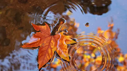 Meteorologii au reactualizat prognoza meteo pentru următoarele 4 săptămâni. Gerul cuprinde România