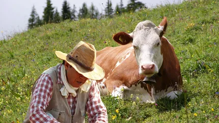 E jale pentru crescătorii de vaci din România! Eu cu un litru de lapte luam trei litri de motorină, iar acum cu trei litri de lapte iau unul de motorină