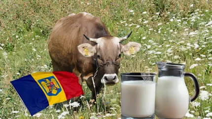 România stă prost la producția de lapte! Suntem pe ultimul loc în UE cu doar 3.362 de kilograme