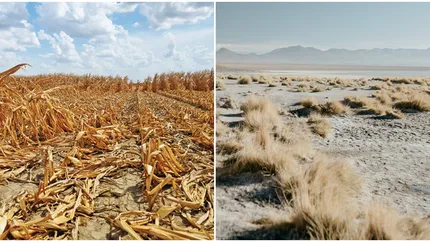 An teribil pentru fermieri. Peste 1 milion de hectare au fost afectate de secetă