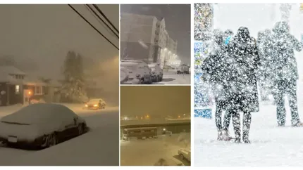 Iarna lovește din plin România. Zeci de arbori au fost rupți din cauza greutății zăpezii, iar sute de consumatori au rămas fără energie electrică