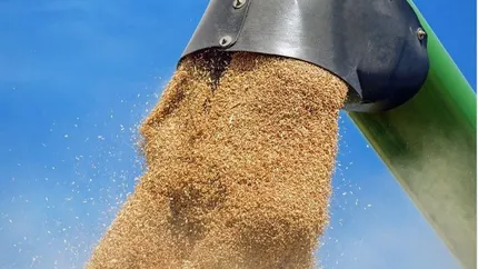 Fermierii au dat alerta! Românii mănâncă cereale modificate genetic