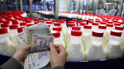 Scandal ireal în industria laptelui! Fermierii au deschis război supermarketurilor. „Să menții la raft un preț atât de ridicat este o crimă pentru fermele noastre”