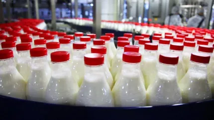 Prețul laptelui la raft a crescut cu 64%| Carmen Avram: „România are cel mai scump lapte din Europa, iar fermierii disperați își sacrifică vacile”