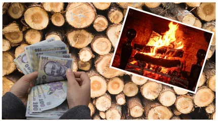 Cătălin Tobescu, președintele Asociației Industriei Lemnului: ”Romsilva crește artificial prețul lemnului de foc”
