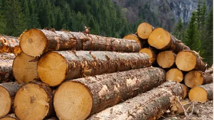 Plafonarea la prețul lemnului de foc a redus producția în industrie: Situaţia de criză pe piaţa lemnului de foc a fost percepută ca fiiind acută în toamna anului 2022''