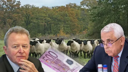Petre Daea versus Comisia Europeană pentru subvenția pentru oi! CE dorea anularea ei, spre dezamăgirea fermierilor români