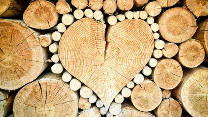 Veste bună pentru românii care se încălzesc cu lemne! Ajutorul de la stat s-ar putea tripla