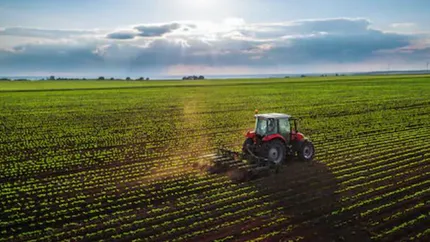 Incredibil! Prețul unui teren arabil în România a depășit Bulgaria, Franța sau Ungaria