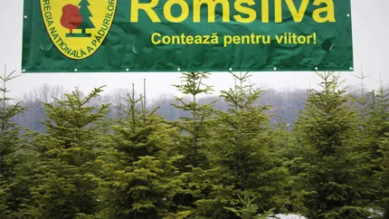 Romsilva nu este de acord cu reorganizarea regiilor autonome prevăzută în inițiativa Guvernului