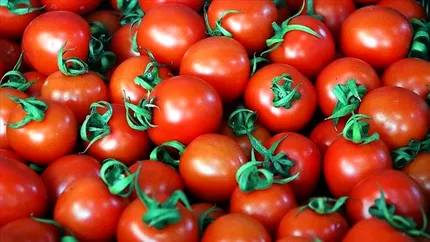 Programul Tomata nu dă rezultate. Românii au importat roșii de peste 65 de milioane de dolari din Turcia