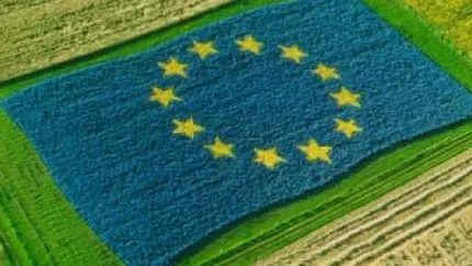 Lovitură pentru fermieri! Până la finalul anului riscă să piardă miliarde de euro! Suma colosală pe care n-au reușit să o cheltuiască din fondurile UE