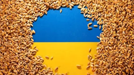 Fermierii din Europa au început să fie nemulțumiți de importurile de cereale din Ucraina. Miniștrii din mai multe țări UE se revoltă