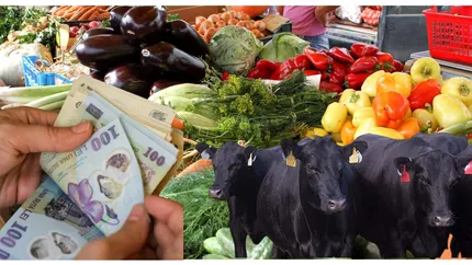 Legumele românești ar putea să dispară din piețe. Legumicultorii se gândesc serios să se reprofileze: ”Trei vaci or să-ți aducă aceeași sumă ca un hectar de solarii”
