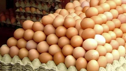 Prețul explodează, criza ouălor este reală! Gripa aviară și războiul din Ucraina vor duce la raționalizarea acestui produs.