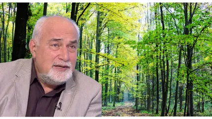 Varujan Vosganian, despre jaful pădurilor: ”Pădurile trebuie să rămână ale României! Guvernanții s-au îmbolnăvit se servilism”