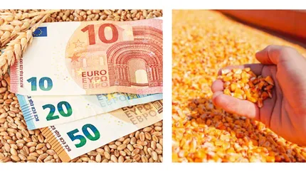 Despăgubiri pentru producătorii de cereale. Ce spune Comisia Europeană despre importuri. Ministrul Petre Daea, la Bruxelles