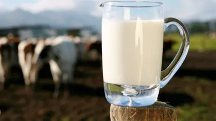 Veste proastă pentru producătorii de lapte, crescătorii de animale se declară nemulțumiți de profit. Reglementarea prețurilor este inexistentă