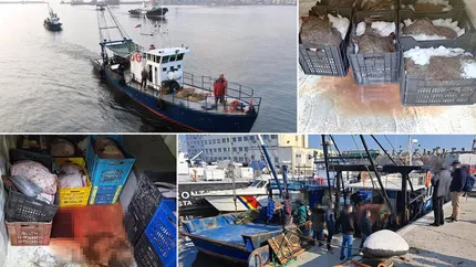 Trei femei bulgare au fost prinse la pescuit ilegal în Marea Neagră. Ce au găsit autoritățile la bord