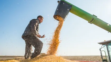 Producția de cereale a României este în scădere. Ce cantități au recoltat fermierii în 2022