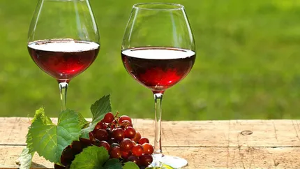 Românii sunt baza producătorilor de vin! Un antreprenor din Italia declară că muncitorii „Sunt indispensabili. Fără ei am vinde bulgări, nu vin”