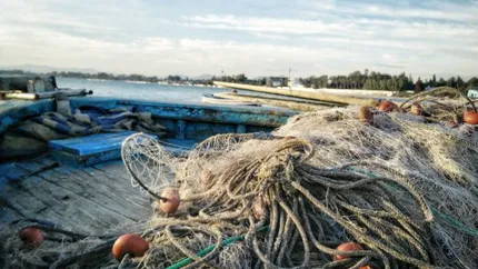 Fonduri UE de peste un milion de euro pentru pescarii români. Cum le poți accesa