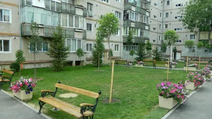 Se dau amenzi uriașe pentru românii care plantează flori sau copaci pe spațiile verzi din jurul blocurilor. De ce autorizație aveți nevoie