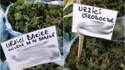 Românii vând în piețe „urzici dacice” și „urzici ortodocse”! Cu ce prețuri halucinante se vând cele două sortimente