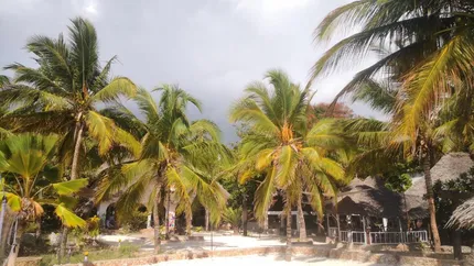 Un grup de investitori români inaugurează al patrulea resort în Zanzibar: Turiştii care aleg să viziteze insula înţeleg că viaţa înseamnă mult mai mult decât bani