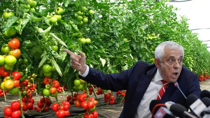 Dispute pe programul Tomata. În timp ce Petre Daea susține că producţia de roşii a crescut la 760.000 tone, două partide anunță că România a importat roşii de 65 de milioane de euro din Turcia