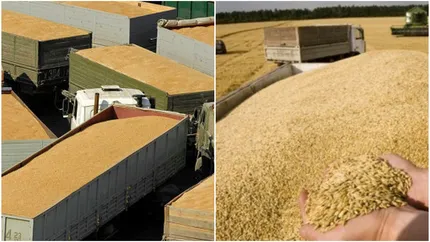 Revenire puternică a producției de cereale din România! Spațiul pentru cerealele ucrainene ar putea fi limitat în Portul Constanța