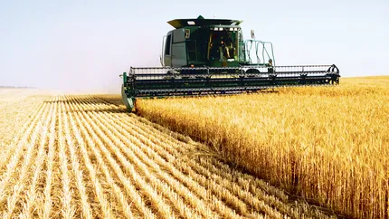 România este a doua ţară atât în topul exportatorilor de grâu din UE, cât şi în cel al importatorilor