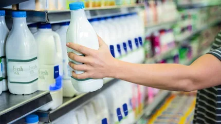 România importă masiv lapte. Producătorii locali, uitați de marile magazine. Cum arată cifrele oficiale în 2023