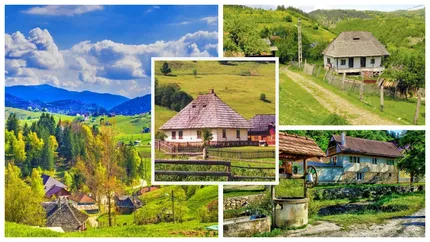 Un român din diaspora dă de pământ cu cei care au proprietăți de vânzare în mediul rural din țara noastră. ”Poate cineva s-o simți și mai taie din lăcomie”