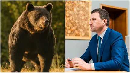 Tanczos Barna trage un semnal de alarmă. S-a dublat numărul de județe în care apar exemplare de urs. „Vom ajunge să avem urşi care să facă baie în Delta Dunării”