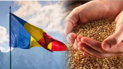 România, cel mai mare exportator de grâu din UE. Statul român a livrat 1.17 miliarde de tone de cereale până în august 2023