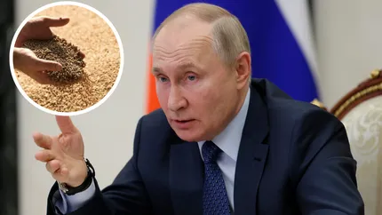 Mari surprize. Vladimir Putin promite să livreze cereale gratuite în 6 țări la Summitul Rusia-Africa. „Țara noastră poate înlocui cerealele ucrainene”