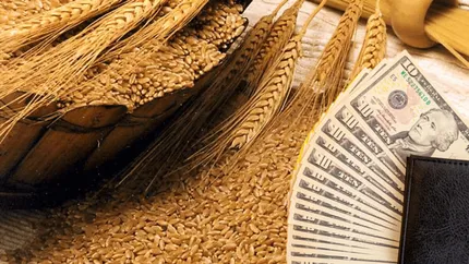 Prețul grâului, influențat de acțiunile Rusiei. Cotațiile au crescut după ce rușii au tras asupra unei nave în Marea Neagră