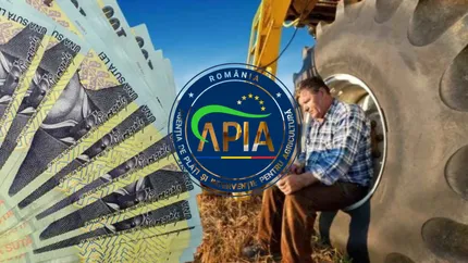 Cum afectează marea reorganizare a sistemului bugetar subvențiile pentru fermieri. Șeful APIA reacționează: „Întotdeauna este loc de mai bine”