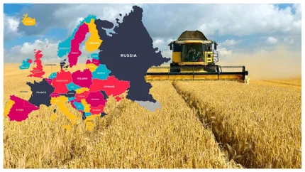 România, al patrulea cel mai mare producător de cereale din UE! Producția din acest an este estimată la aproximativ 22-23 miliarde de tone