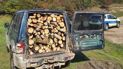 Cod silvic 2023. Se schimbă legea, maşina care fură lemne va fi confiscată automat