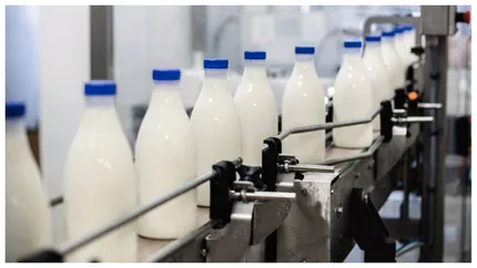 Danone şi Lactalis se zbat pe piața laptelui cu o marjă de profit sub 2%-3%. Cine sunt companiile-lider din sectorul alimentar