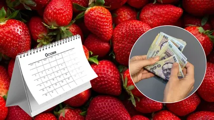 Câți bani trebuie să scoți din buzunar dacă vrei să te delectezi cu un kilogram de căpșuni pe timp de toamnă