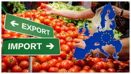 Roșiile românești în pericol! Importurile din afara UE au depășit pentru prima oară valoarea de 100 de milioane de euro într-un singur an