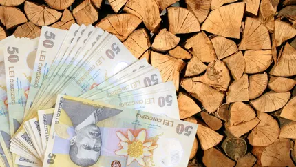 Preţul lemnelor de foc a explodat în 2023! Costul unui metru cub de lemne s-a majorat cu 15% în 2023