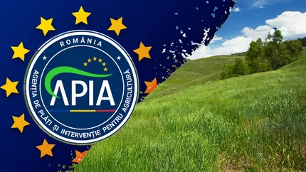 Calcul pentru subvenția APIA pe pășune, în 2023. Director executiv APIA: „Fermierii primesc și 400 - 500 euro/ha”